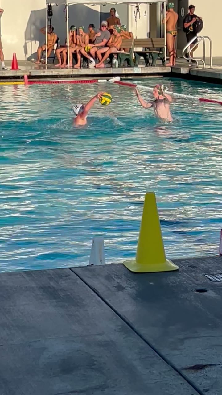 Heron goal