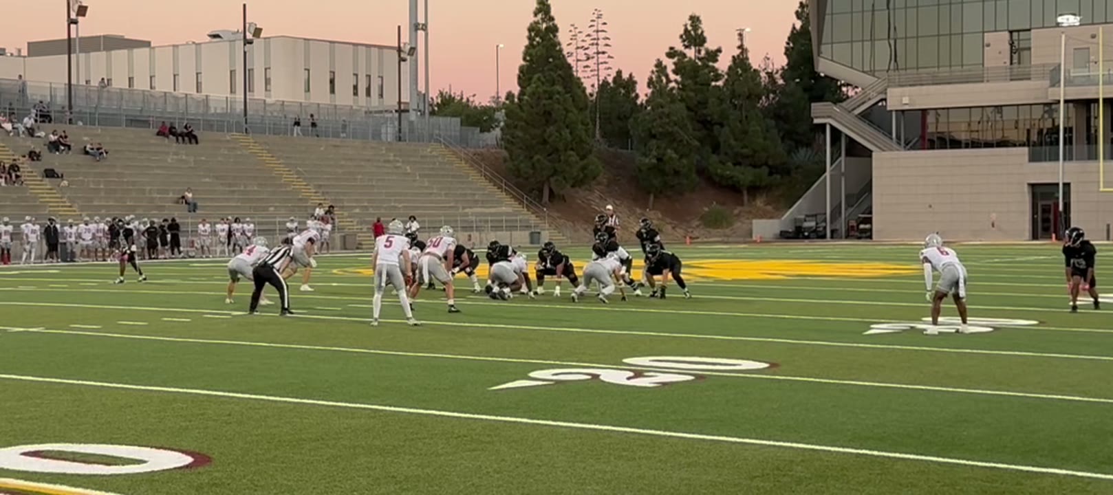 Reception for a 22 yard gain.