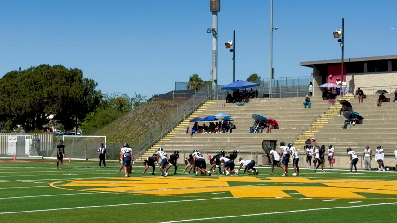 SWC punt - 1 missed tackle - completed by ankle bite tackle.