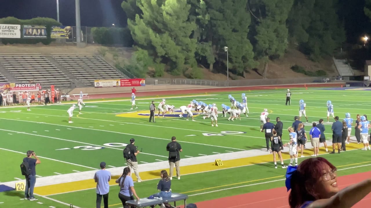 Barnes to Lewis for a 50 yard connection for the TD!