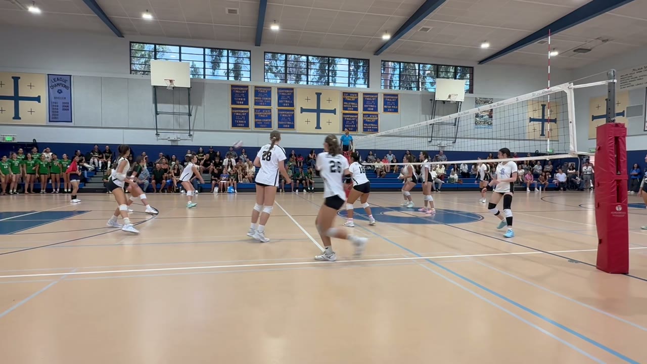 Bearcats Kill