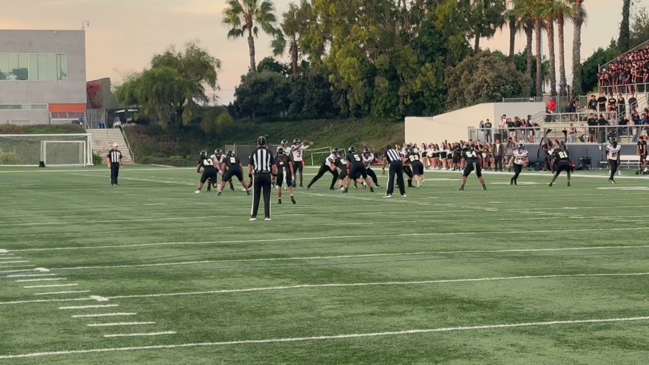 Great pass from Jefferson to Hale for Husky touchdown!!