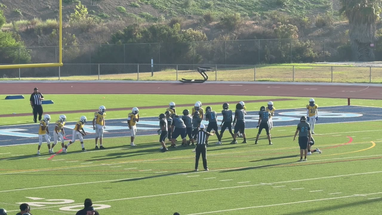 The winning field goal