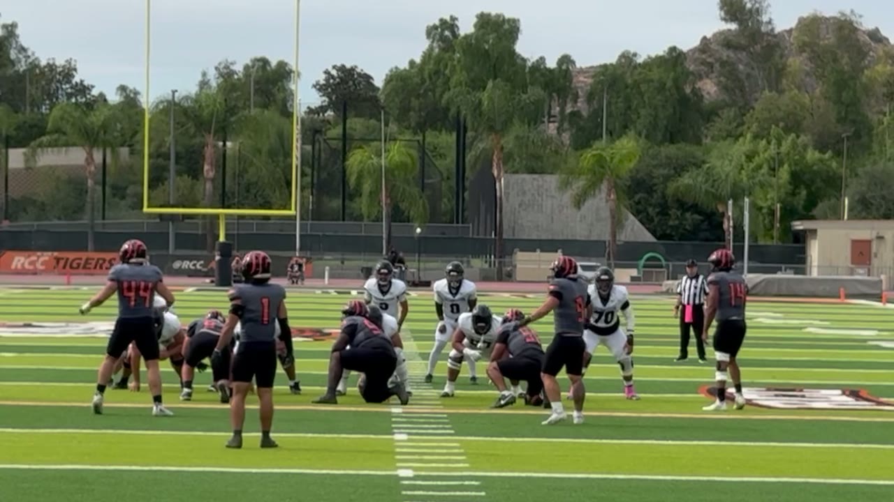 QB handoff- run.