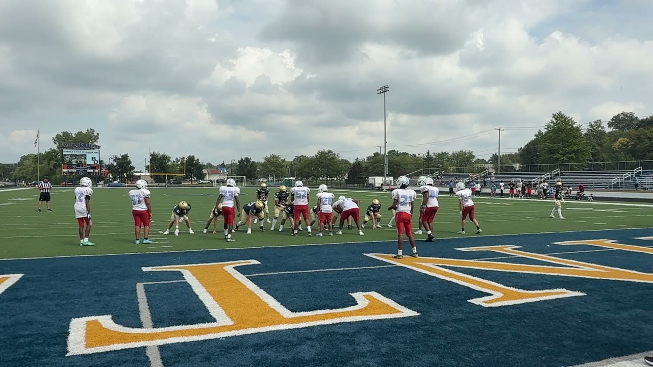 Haynes 1 yd TD run