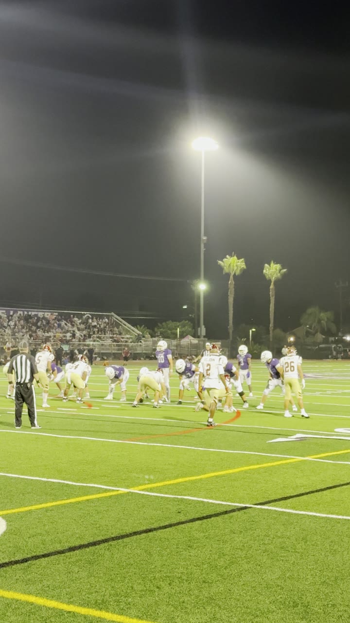 Webb for 6