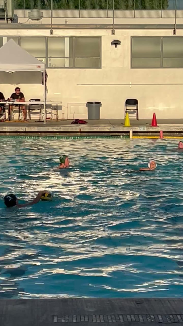 Goalie stop